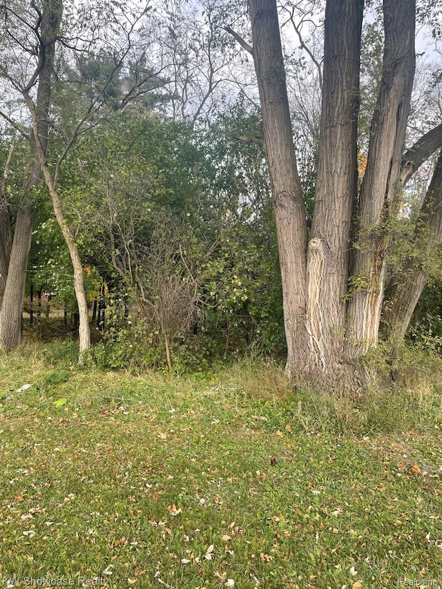 0000 Reed Lake Rd, Commerce Twp, MI 48382 - photo 1
