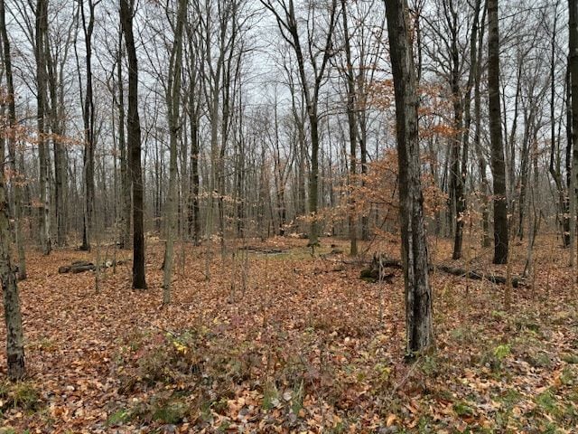 Listing photo 2 for PARCEL1 Mcclements Rd, Brighton MI 48114