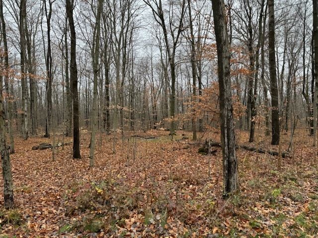PARCEL1 Mcclements Rd, Brighton, MI 48114