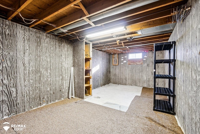 basement featuring carpet