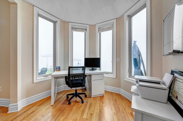 office space featuring light hardwood / wood-style flooring