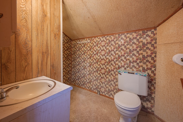 bathroom with vanity, toilet, and lofted ceiling