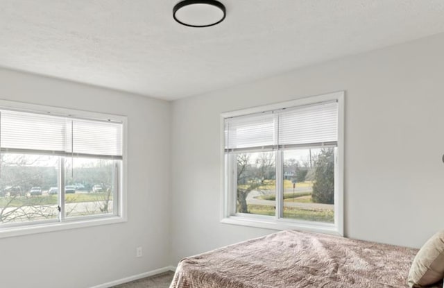 carpeted bedroom with a textured ceiling and multiple windows