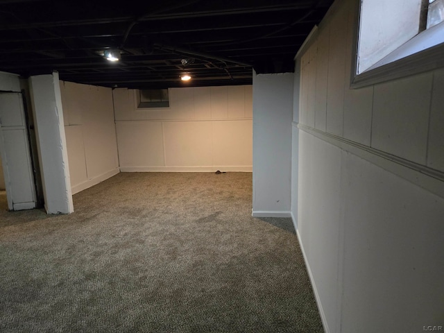 basement featuring carpet floors