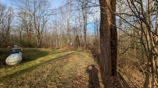 6259 N Custer Rd, Michigan, MI 49411 - view of green lawn with a view of trees
