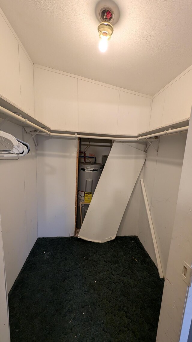 6259 N Custer Rd, Michigan, MI 49411 - walk in closet with electric water heater and carpet floors