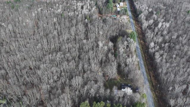 6259 N Custer Rd, Michigan, MI 49411 - aerial view of property's location