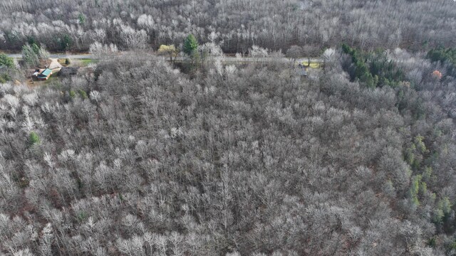 6259 N Custer Rd, Michigan, MI 49411 - view of property location featuring a forest