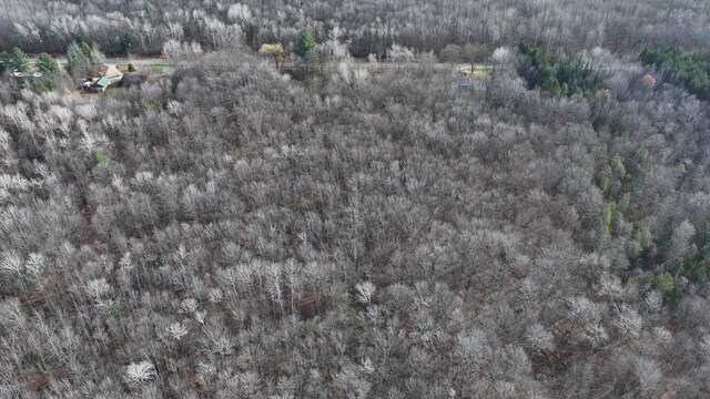 6259 N Custer Rd, Michigan, MI 49411 - view of property location with a heavily wooded area