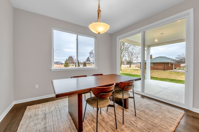 dining area featuring dark hardwood / wood-style flooring