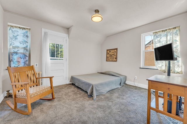 carpeted bedroom featuring lofted ceiling and multiple windows