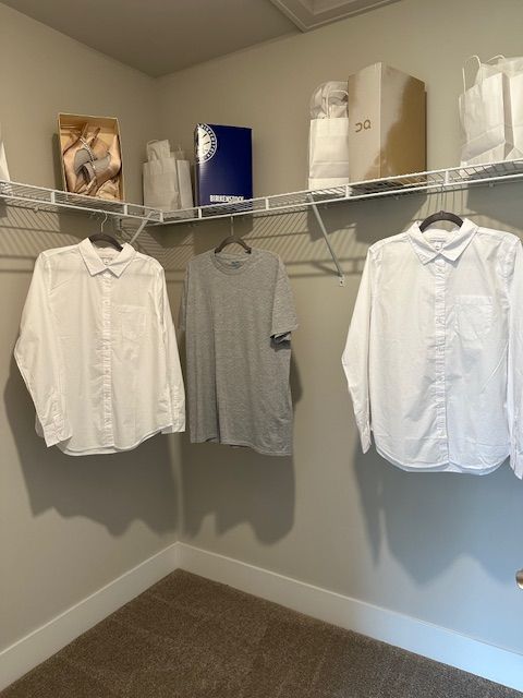 walk in closet featuring carpet flooring