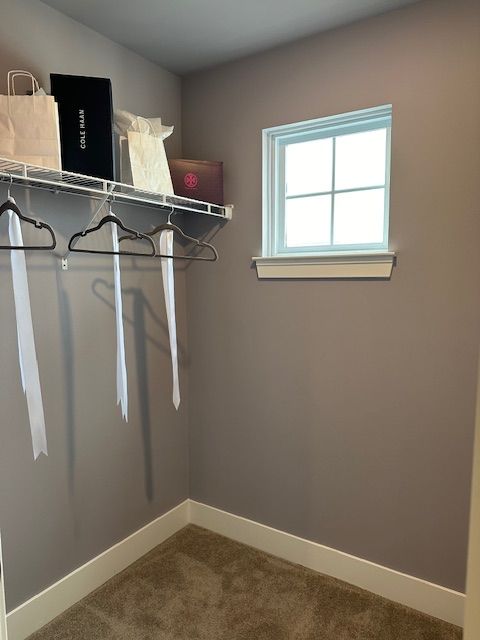 spacious closet featuring carpet flooring