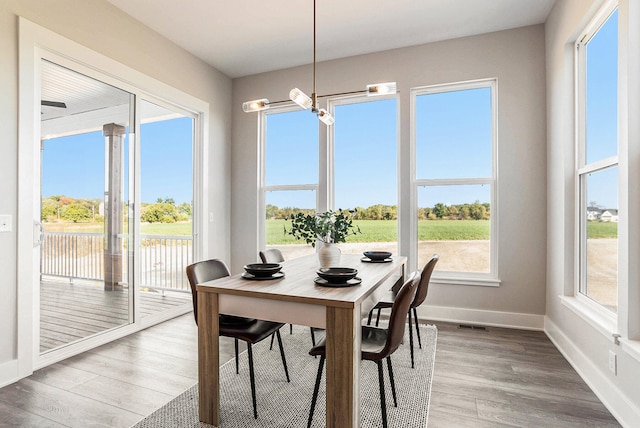 dining space with a wealth of natural light and wood-type flooring