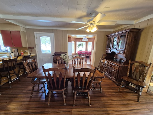 dining room featuring ceiling fan, wood ceiling, dark hardwood / wood-style floors, and beamed ceiling