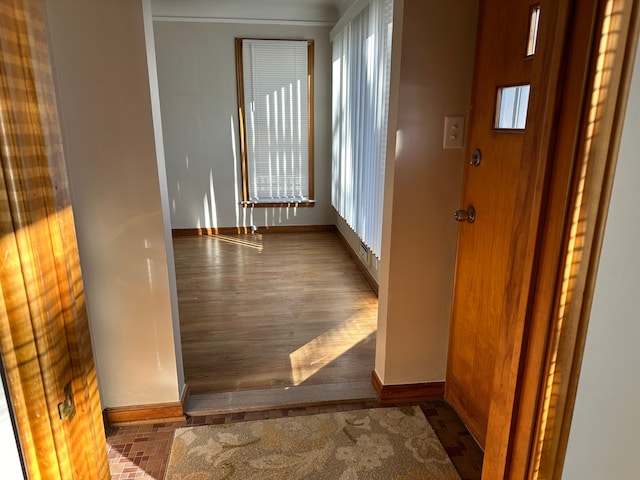 corridor featuring dark wood-type flooring