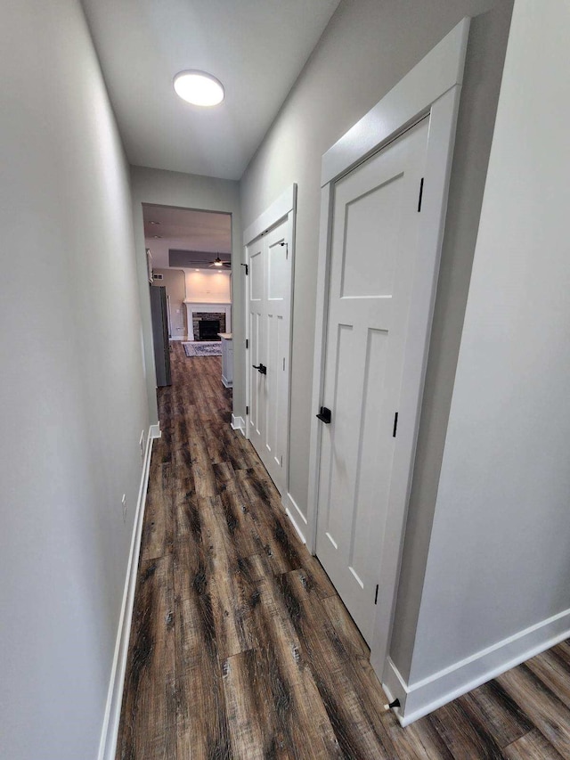 hallway featuring dark wood-type flooring