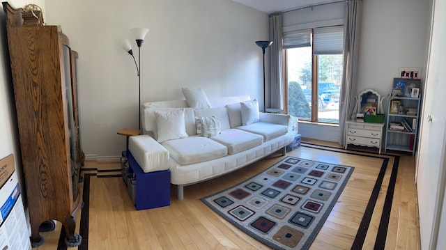 living room with light hardwood / wood-style flooring