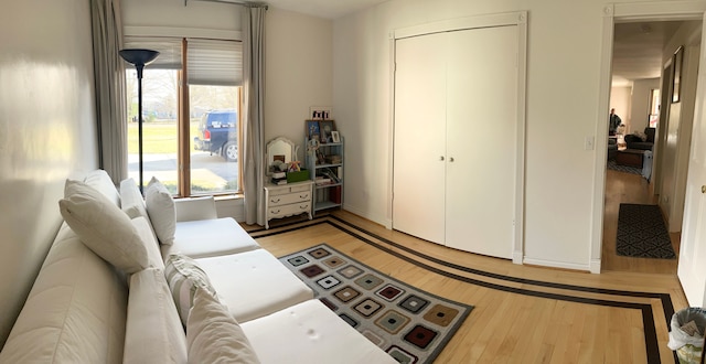 living room with light wood-type flooring