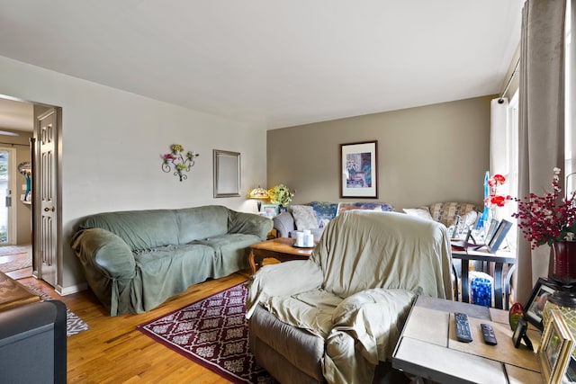 living room featuring hardwood / wood-style flooring