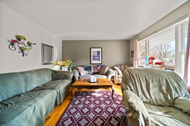 living room with light wood-type flooring