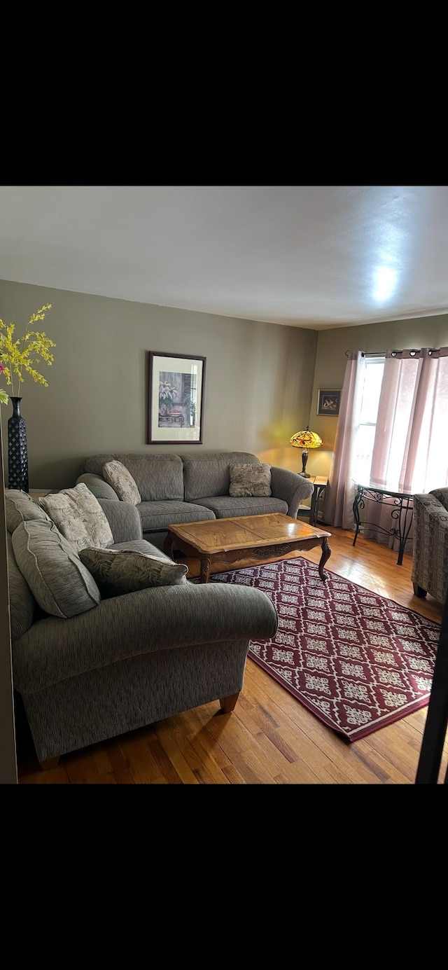 living room with wood finished floors