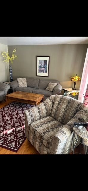 living room featuring wood finished floors