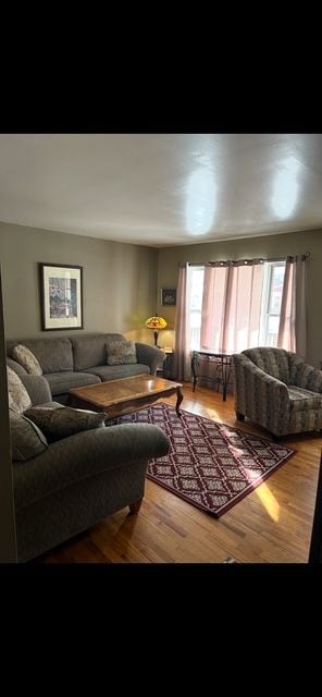 living area featuring wood finished floors