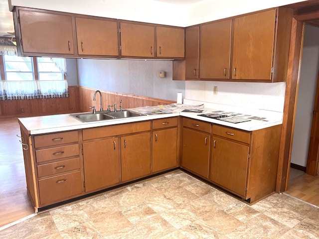 kitchen with light wood-type flooring and sink