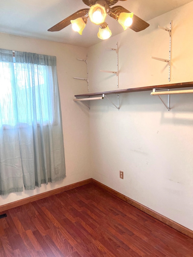 walk in closet featuring hardwood / wood-style floors