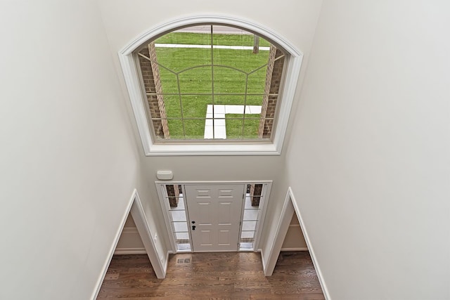 entrance foyer with dark hardwood / wood-style flooring, a towering ceiling, and a healthy amount of sunlight