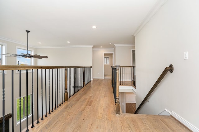 hallway with light hardwood / wood-style floors and ornamental molding