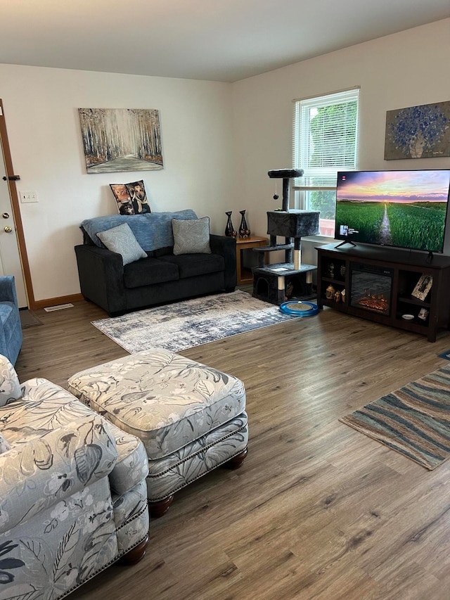 living room with wood-type flooring