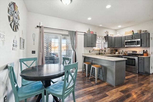 kitchen with gray cabinetry, a healthy amount of sunlight, kitchen peninsula, and stainless steel appliances