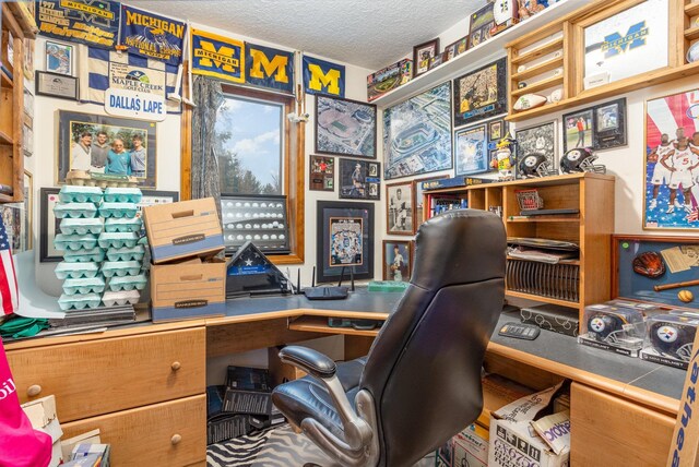 5085 W Redstone Rd, Michigan, MI 48880 - office with a textured ceiling