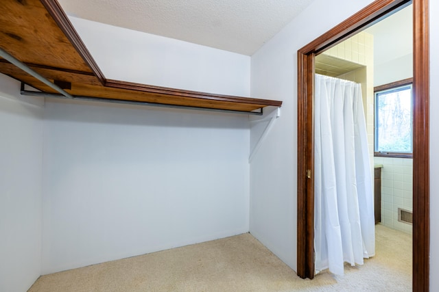 spacious closet with light carpet