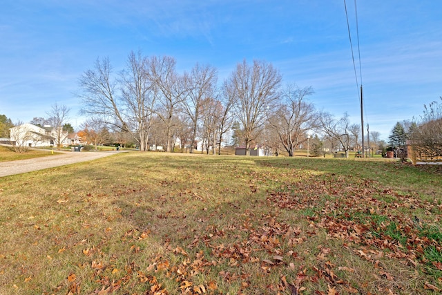 view of yard