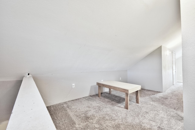 additional living space with light carpet and vaulted ceiling