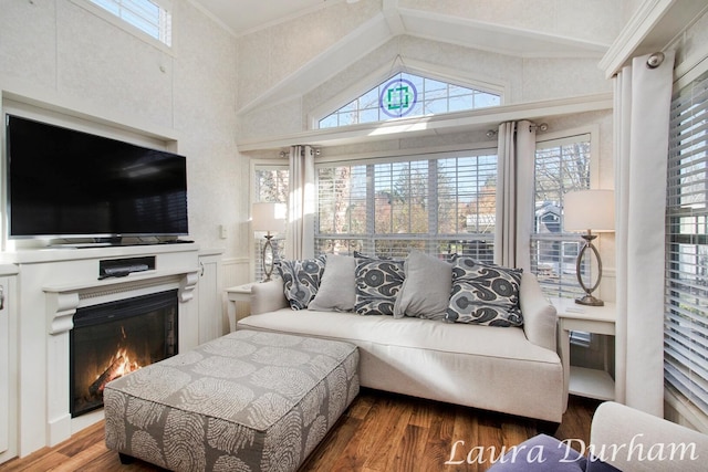 living room featuring dark hardwood / wood-style flooring, high vaulted ceiling, and ornamental molding