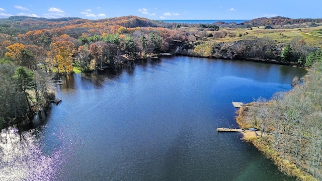 6473 Blue Star Hwy Unit 31, Saugatuck, MI 49453 - bird's eye view of a water and mountain view and a forest