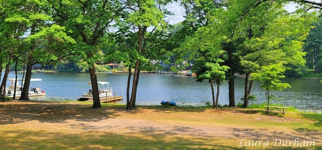 6473 Blue Star Hwy Unit 31, Saugatuck, MI 49453 - water view with a boat dock