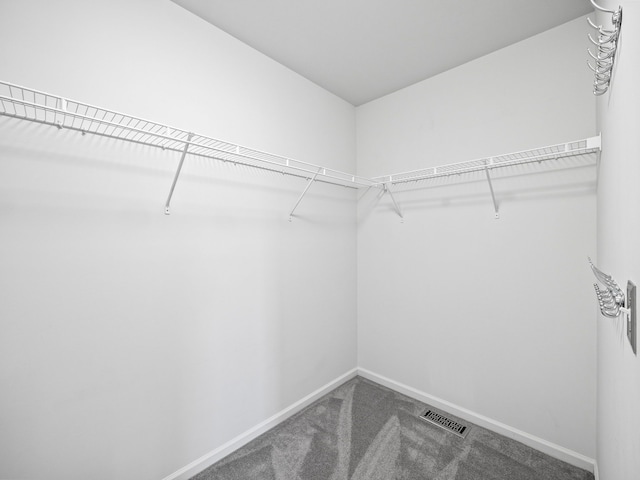 walk in closet featuring carpet flooring