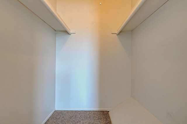 2765 Fox Hollow Ct, Lake Orion, MI 48360 - walk in closet with carpet floors