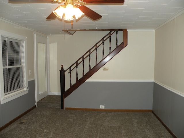 staircase featuring ceiling fan, carpet floors, and crown molding