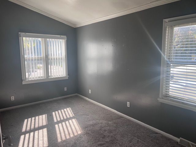 carpeted empty room featuring lofted ceiling and ornamental molding