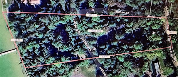 2497 Boy Scout Rd, Indian River, MI 49749