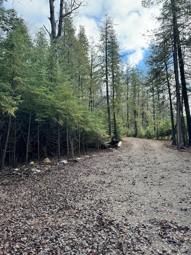 2497 Boy Scout Rd, Indian River, MI 49749