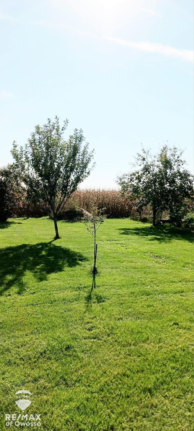 view of yard with a rural view