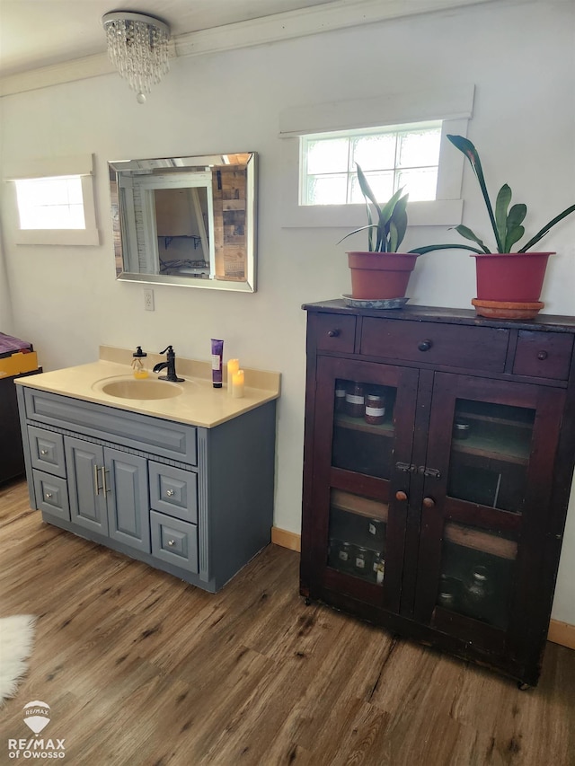 bathroom featuring hardwood / wood-style floors and vanity