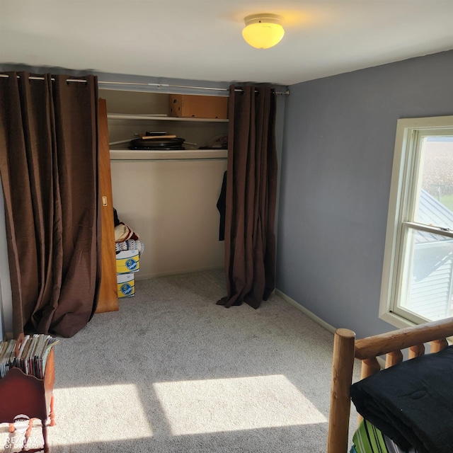 bedroom featuring carpet flooring